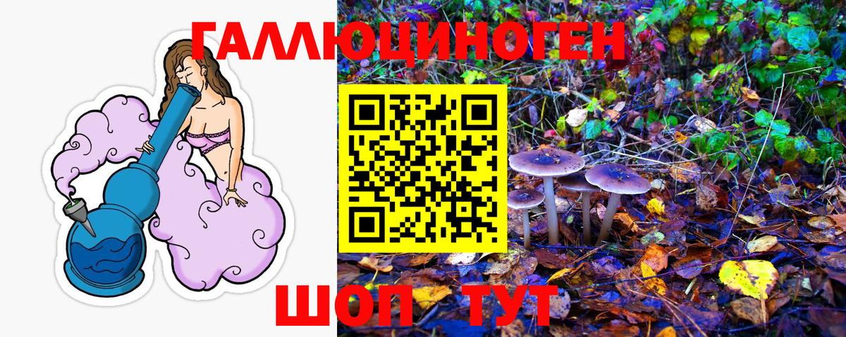 Псилоцибиновые грибы Magic Shrooms  Вход с VPN  Строитель 