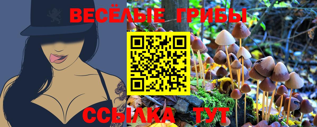 Галлюциногенные грибы ЛСД Строитель